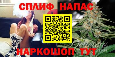 индика Берёзовский