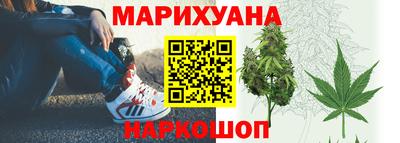 индика Берёзовский
