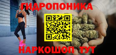 тгк Бийск