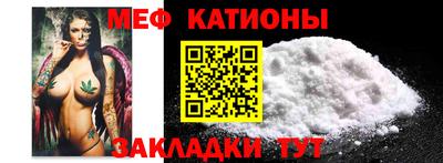 тгк Бийск