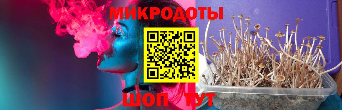 Псилоцибиновые грибы прущие грибы Клин